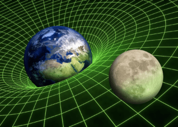 Black Holes: The Paradox of Gravity