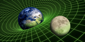 Black Holes: The Paradox of Gravity