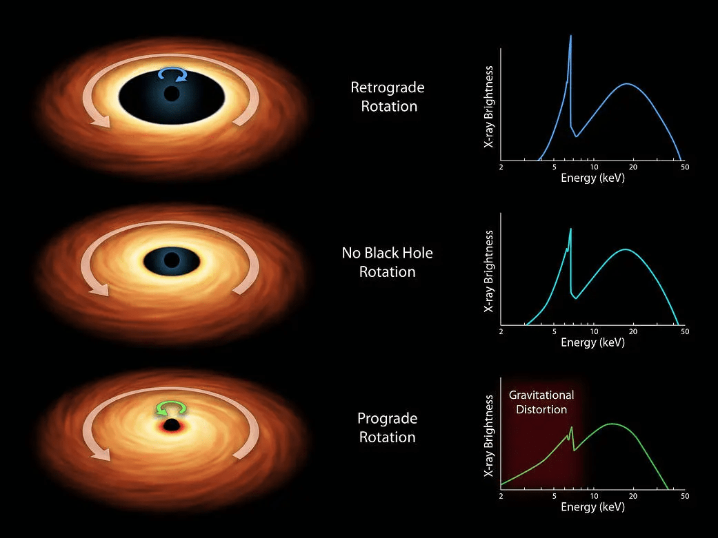 Do All Black Holes Spin, and Does It Matter?
