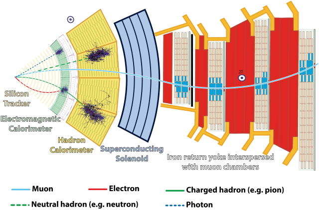particle accelerator detector tracks visualization